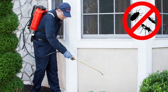 Pendik Böcek İlaçlama böcek ilaçlama ve haşere kontrolü — ilaclama-tr.com